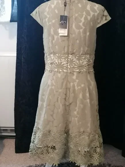 Next Womens dress 12  occasion dress Fully Lined Intricate Lace detail new - Picture 4 of 12